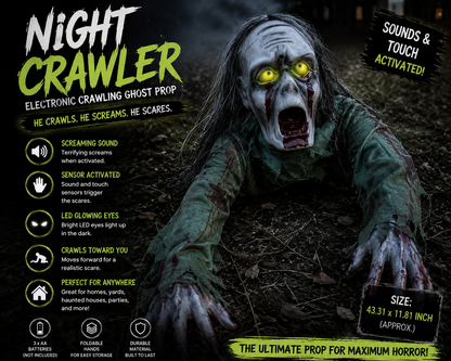 Night Crawler